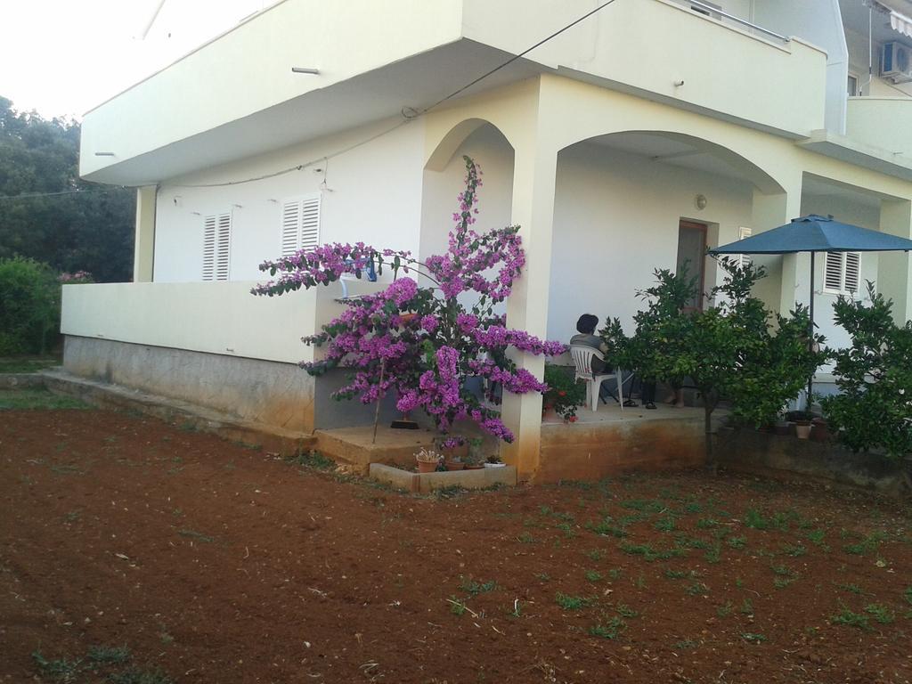 Apartments Maco Petrcane Rum bild